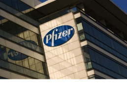 internet marketing,  world digital center, pfizer