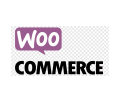 web-agentur-woocommerce-wetzlar